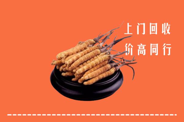 高价求购：湘乡市回收散虫草