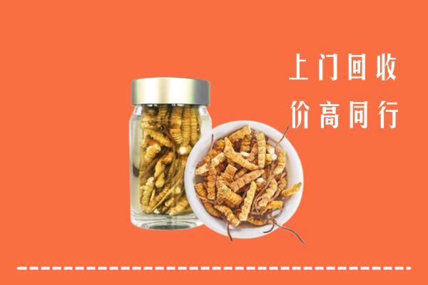 湘乡市回收冬虫夏草